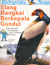 Image of Elang Bangkai Berkepala Gundul : dan Banyak Pertanyaan Lain Tentang Burung
